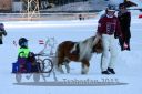 Dateiname=20150215_07_070.jpg
Dateigröße=87KB
Abmessungen: 750x500
hinzugefügt am: 15. November 2016 20150215_07_070.jpg