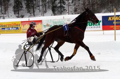 20150222_02_10.jpg