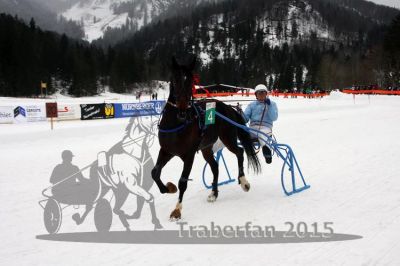 20150222_03_81.jpg