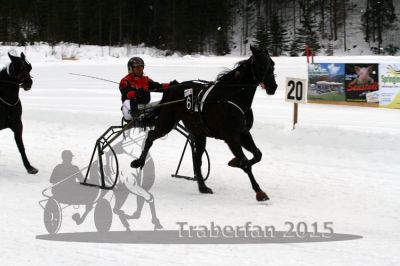 20150222_05_67.jpg