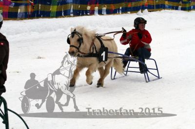 20150222_07_61.jpg