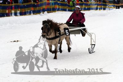 20150222_07_66.jpg