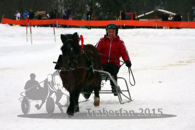 20150222_07_95.jpg