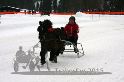 20150222_07_96.jpg
