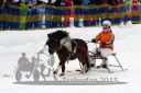 20150222_07_63.jpg