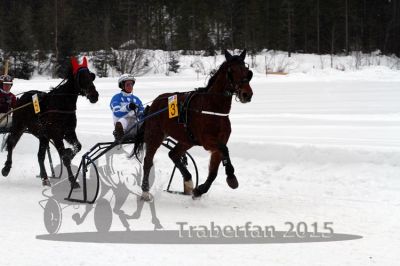 20150222_08_42.jpg