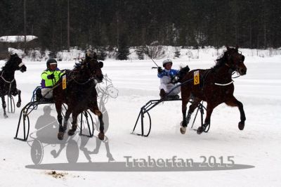 20150222_08_67.jpg