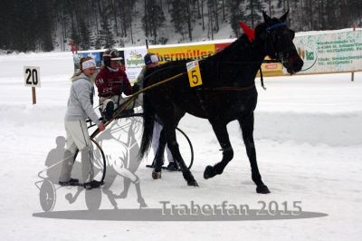 20150222_08_82.jpg