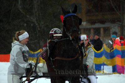 20150222_08_86.jpg