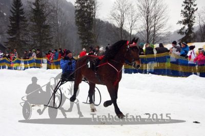 20150222_10_01.jpg