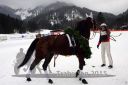 Dateiname=20150222_11_42.jpg
Dateigröße=83KB
Abmessungen: 750x500
hinzugefügt am: 15. November 2016 20150222_11_42.jpg
