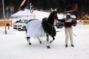 Dateiname=IMG_0229.JPG
Dateigröße=89KB
Abmessungen: 750x500
hinzugefügt am: 15. November 2016 IMG_0229.JPG