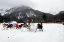 Dateiname=IMG_0426.JPG
Dateigröße=74KB
Abmessungen: 750x500
hinzugefügt am: 15. November 2016 IMG_0426.JPG