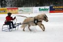 Dateiname=IMG_0439.JPG
Dateigröße=81KB
Abmessungen: 750x500
hinzugefügt am: 15. November 2016 IMG_0439.JPG