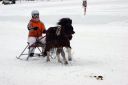 Dateiname=IMG_0441.JPG
Dateigröße=63KB
Abmessungen: 750x500
hinzugefügt am: 15. November 2016 IMG_0441.JPG