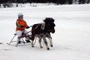 Dateiname=IMG_0442.JPG
Dateigröße=71KB
Abmessungen: 750x500
hinzugefügt am: 15. November 2016 IMG_0442.JPG
