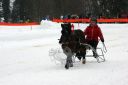 Dateiname=IMG_0471.JPG
Dateigröße=74KB
Abmessungen: 750x500
hinzugefügt am: 15. November 2016 IMG_0471.JPG