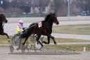 Dateiname=20150322_qu2_03.jpg
Dateigröße=86KB
Abmessungen: 750x500
hinzugefügt am: 17. November 2016 20150322_qu2_03.jpg