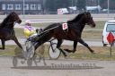Dateiname=20150322_qu2_16.jpg
Dateigröße=95KB
Abmessungen: 750x500
hinzugefügt am: 17. November 2016 20150322_qu2_16.jpg