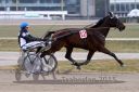 Dateiname=20150322_qu2_19.jpg
Dateigröße=93KB
Abmessungen: 750x500
hinzugefügt am: 17. November 2016 20150322_qu2_19.jpg