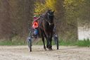 Dateiname=IMG_0055.JPG
Dateigröße=122KB
Abmessungen: 750x501
hinzugefügt am: 17. November 2016 IMG_0055.JPG