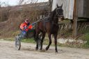Dateiname=IMG_0073.JPG
Dateigröße=142KB
Abmessungen: 750x501
hinzugefügt am: 17. November 2016 IMG_0073.JPG