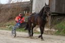 Dateiname=IMG_0074.JPG
Dateigröße=136KB
Abmessungen: 750x501
hinzugefügt am: 17. November 2016 IMG_0074.JPG