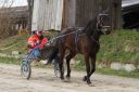 Dateiname=IMG_0076.JPG
Dateigröße=133KB
Abmessungen: 750x501
hinzugefügt am: 17. November 2016 IMG_0076.JPG