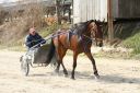 Dateiname=IMG_0103.JPG
Dateigröße=132KB
Abmessungen: 750x500
hinzugefügt am: 17. November 2016 IMG_0103.JPG
