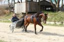 Dateiname=IMG_0107.JPG
Dateigröße=133KB
Abmessungen: 750x500
hinzugefügt am: 17. November 2016 IMG_0107.JPG