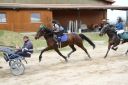 Dateiname=IMG_0173.JPG
Dateigröße=105KB
Abmessungen: 750x500
hinzugefügt am: 17. November 2016 IMG_0173.JPG