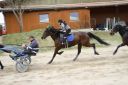Dateiname=IMG_0174.JPG
Dateigröße=108KB
Abmessungen: 750x500
hinzugefügt am: 17. November 2016 IMG_0174.JPG