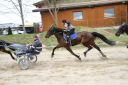 Dateiname=IMG_0175.JPG
Dateigröße=113KB
Abmessungen: 750x500
hinzugefügt am: 17. November 2016 IMG_0175.JPG