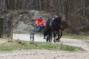 Dateiname=IMG_0289.JPG
Dateigröße=104KB
Abmessungen: 750x500
hinzugefügt am: 17. November 2016 IMG_0289.JPG
