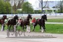 Dateiname=20150426_08_41.jpg
Dateigröße=116KB
Abmessungen: 750x500
hinzugefügt am: 17. November 2016 20150426_08_41.jpg