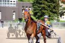 Dateiname=20150510_r04_91.jpg
Dateigröße=101KB
Abmessungen: 750x500
hinzugefügt am: 17. November 2016 20150510_r04_91.jpg