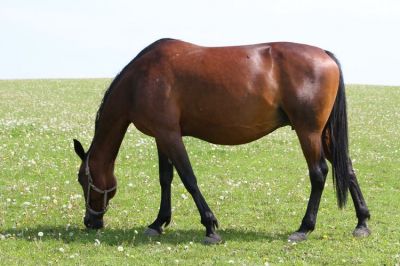 R_100159.JPG