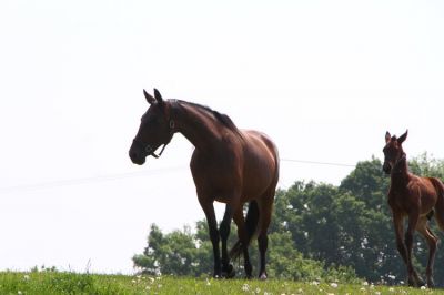 R_100263.JPG