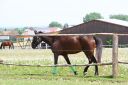 R_100288.JPG