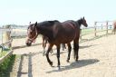 R_100381.JPG