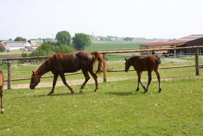IMG_0070.JPG