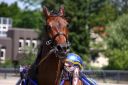 20150710_r07_85.JPG