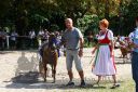 Dateiname=20150815_01_076.JPG
Dateigröße=162KB
Abmessungen: 750x500
hinzugefügt am: 23. Dezember 2016 20150815_01_076.JPG
