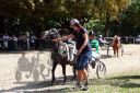 Dateiname=20150815_01_084.JPG
Dateigröße=165KB
Abmessungen: 750x500
hinzugefügt am: 23. Dezember 2016 20150815_01_084.JPG