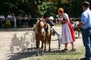 Dateiname=20150815_01_087.JPG
Dateigröße=156KB
Abmessungen: 750x500
hinzugefügt am: 23. Dezember 2016 20150815_01_087.JPG