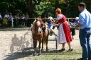 Dateiname=20150815_01_089.JPG
Dateigröße=159KB
Abmessungen: 750x500
hinzugefügt am: 23. Dezember 2016 20150815_01_089.JPG