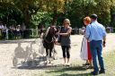 Dateiname=20150815_01_099.JPG
Dateigröße=168KB
Abmessungen: 750x500
hinzugefügt am: 23. Dezember 2016 20150815_01_099.JPG