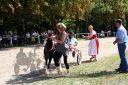 Dateiname=20150815_01_103.JPG
Dateigröße=171KB
Abmessungen: 750x500
hinzugefügt am: 23. Dezember 2016 20150815_01_103.JPG