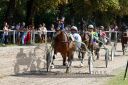 Dateiname=20150815_04_24.JPG
Dateigröße=161KB
Abmessungen: 750x500
hinzugefügt am: 23. Dezember 2016 20150815_04_24.JPG