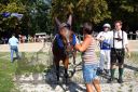 Dateiname=20150815_04_83.JPG
Dateigröße=172KB
Abmessungen: 750x500
hinzugefügt am: 23. Dezember 2016 20150815_04_83.JPG